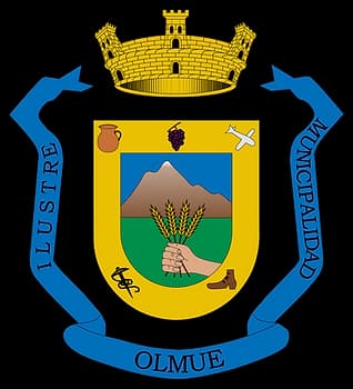 Logo Municipalidad de Olmué